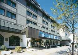 Imagen general del Hotel MARITIM STTADHOTEL. Foto 7