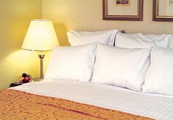 Imagen de la habitación del Hotel MARRIOT HOTEL PETRA. Foto 6