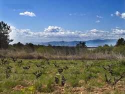 Imagen general del Hotel MAS CAN ROS. Foto 8