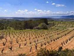 Imagen general del Hotel MAS CAN ROS. Foto 9