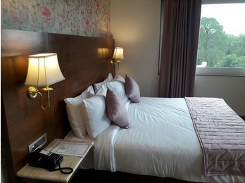 Imagen de la habitación del Hotel MASTIFF VILLA CAMELIA. Foto 2