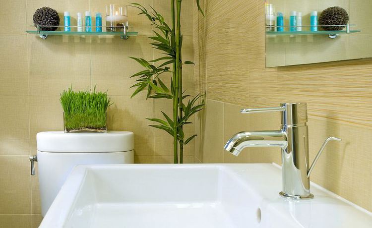 Imagen general del Hotel MAVE. Foto 3