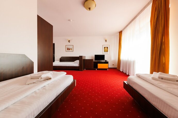 Imagen de la habitación del Hotel MAX International Hotel & Resort. Foto 30