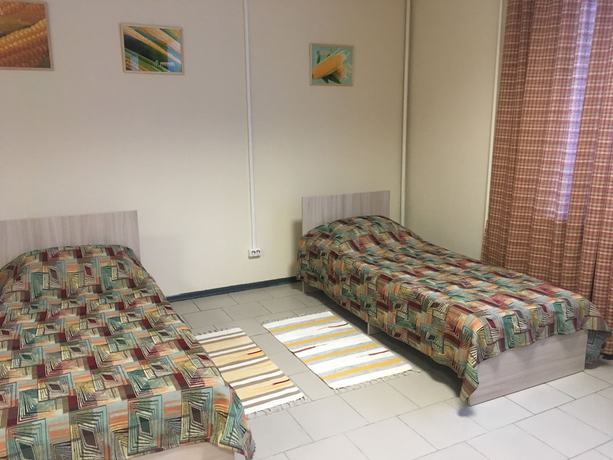 Imagen de la habitación del Hotel MAXROOMS Barnaul Sibiria. Foto 18