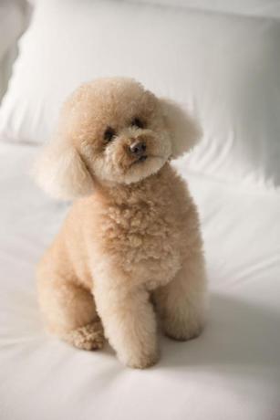 Imagen general del Hotel MET Pamplona. Foto 6