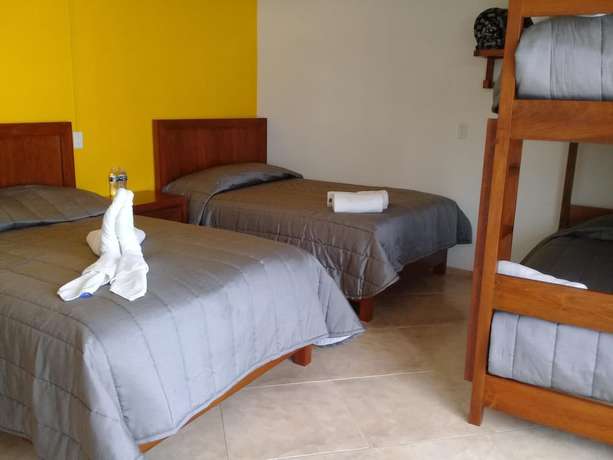 Imagen de la habitación del Hotel MH. Foto 5