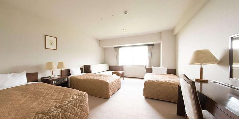 Imagen de la habitación del Hotel MIDAGAHARA HOTEL. Foto 14
