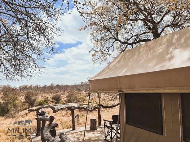 Imagen de la habitación del Hotel MILIMA Big 5 Safari Lodge. Foto 15