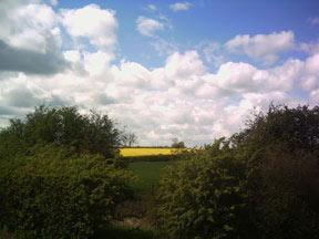 Imagen general del Hotel MK, Towcester. Foto 2