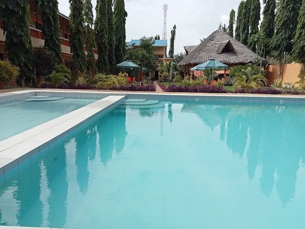 Imagen de la piscina del Hotel MODERN SOUTH HOTEL. Foto 20