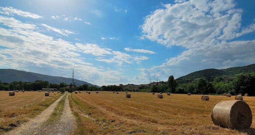 Imagen de los exteriores del Hotel MODERNO, Pontassieve. Foto 15