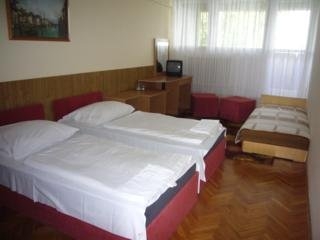 Imagen de la habitación del Hotel MONTE CHRISTO. Foto 3