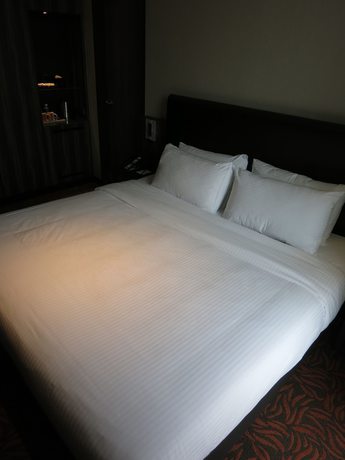 Imagen de la habitación del Hotel MRISE KITCHENER. Foto 12