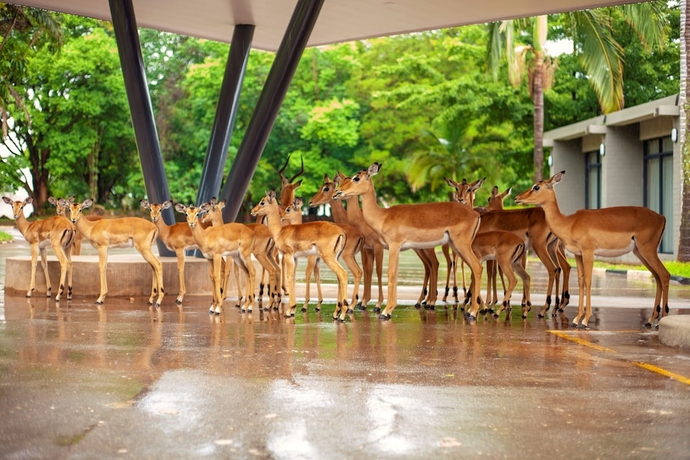 Imagen general del Hotel MUKUBA HOTEL. Foto 2