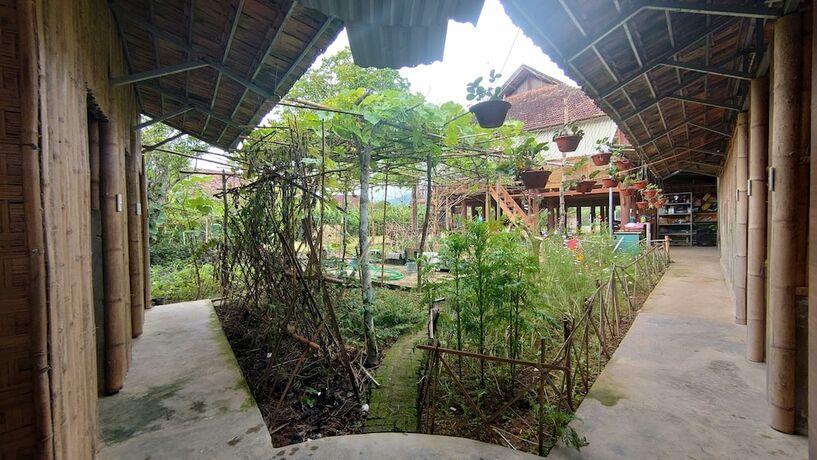 Imagen general del Hotel MUONG PHANG HOMESTAY. Foto 12