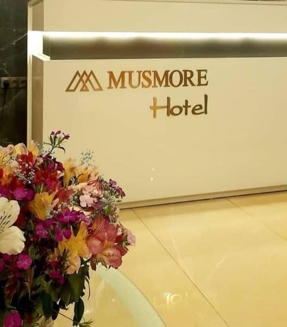 Imagen general del Hotel MUSMORE Boutique. Foto 3