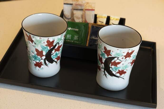 Imagen de la habitación del Hotel MYU STYLE INUYAMA experience. Foto 14