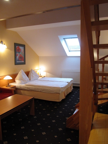 Imagen de la habitación del Hotel Máchova. Foto 1