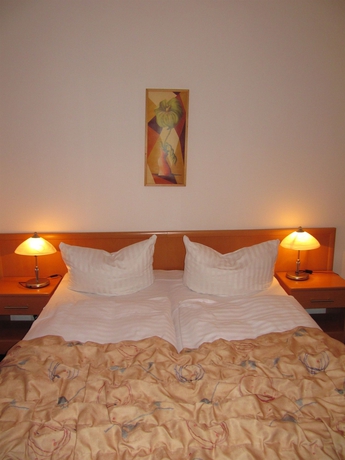 Imagen de la habitación del Hotel Máchova. Foto 5