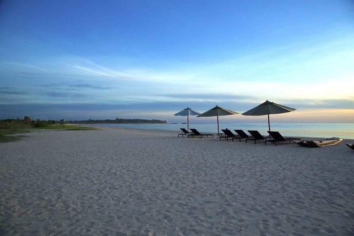 Imagen de la habitación del Hotel Maalu Maalu Resort and Spa. Foto 2