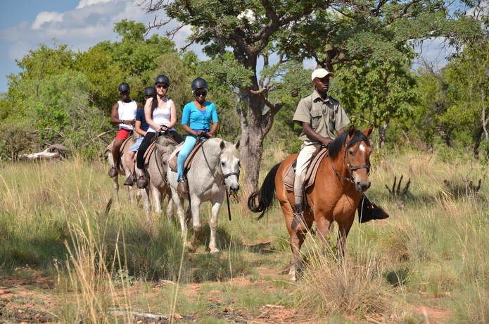Imagen del bar/restaurante del Hotel Mabula Game Lodge. Foto 8