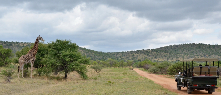 Imagen general del Hotel Mabula Game Lodge. Foto 1