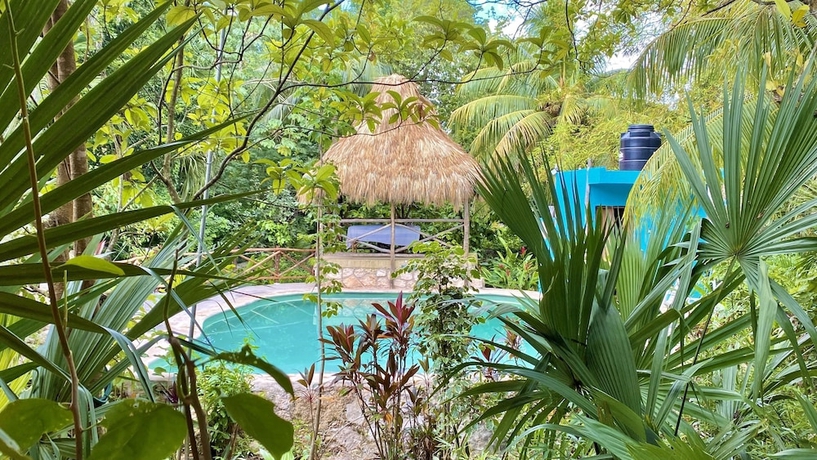 Imagen de la piscina del Hotel Macan Ché. Foto 18