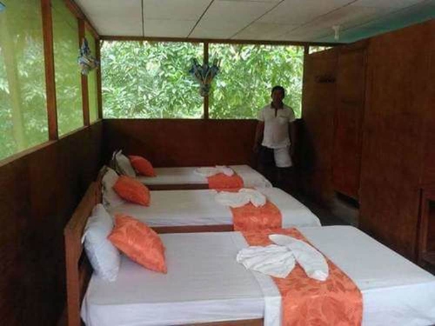 Imagen de la habitación del Hotel Macaw Jungle Expeditions. Foto 8