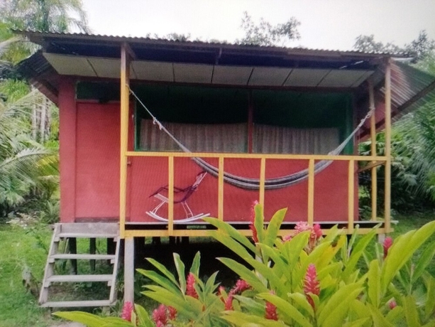 Imagen de la habitación del Hotel Macaw Jungle Expeditions. Foto 11