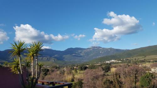 Imagen general del Hotel Macchia e Mare. Foto 10