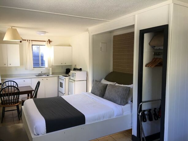 Imagen de la habitación del Hotel Mackenzie Beach Resort. Foto 11