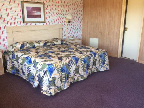 Imagen de la habitación del Hotel Macthrift Motor Inn. Foto 9