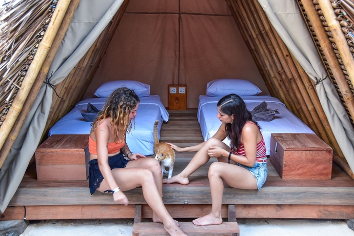 Imagen de la habitación del Hotel Mad Monkey Gili Trawangan - Hostel. Foto 16