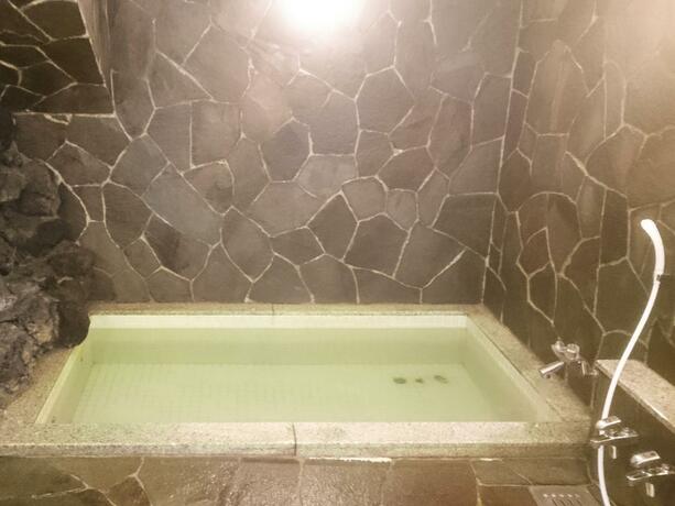 Imagen general del Hotel Madam Mirei, Myōkō. Foto 9