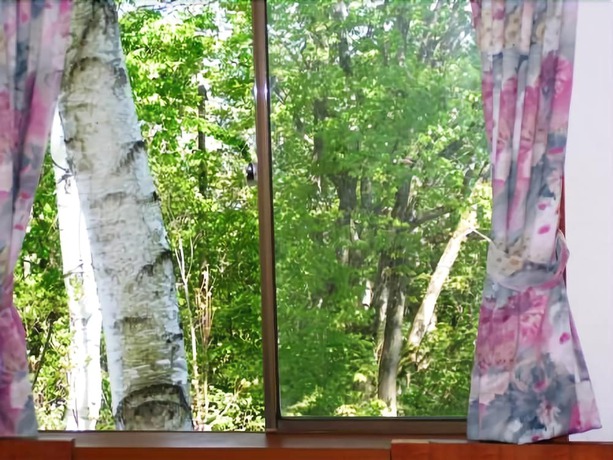 Imagen de la habitación del Hotel Madarao Elm Pension. Foto 8