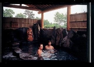 Imagen general del Hotel Madarao Kogen. Foto 20