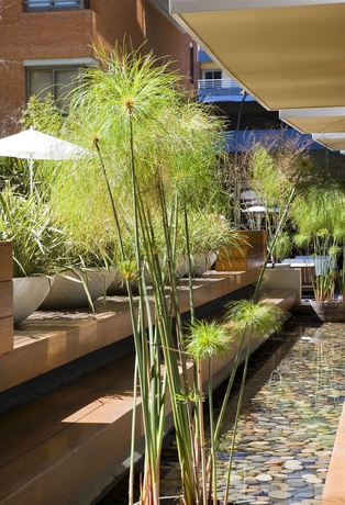 Imagen del bar/restaurante del Hotel Madero Buenos Aires. Foto 3