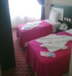 Imagen de la habitación del Hotel Madi. Foto 2