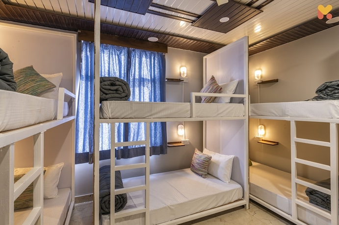 Imagen de la habitación del Hotel Madpackers Jaipur. Foto 7