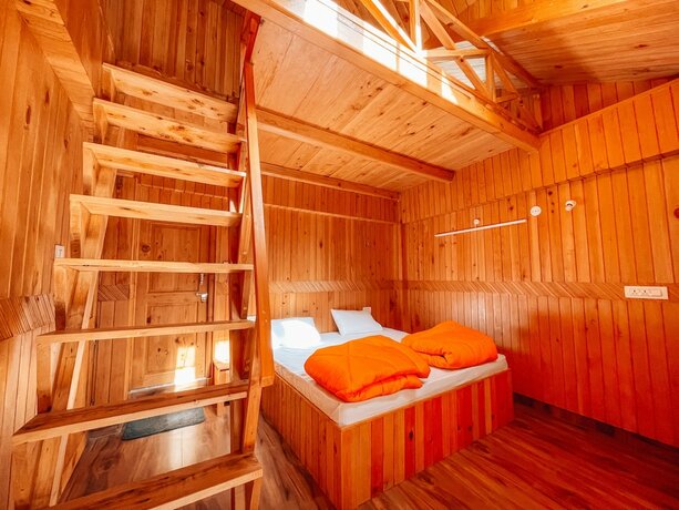 Imagen de la habitación del Hotel Madpackers Jibhi - Hostel. Foto 15