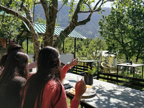 Imagen de la habitación del Hotel Madpackers Manali - Hostel. Foto 19