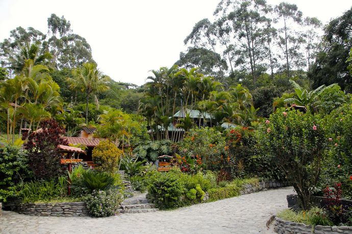 Imagen de los exteriores del Hotel Madre Tierra Spa. Foto 9