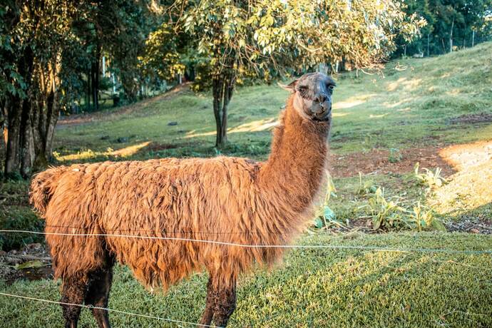 Imagen general del Hotel Maestro Aguas Quentes De Beltrao. Foto 5