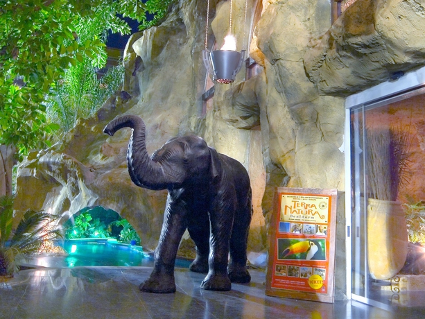 Imagen de los exteriores del Hotel Magic Aqua Rock Gardens. Foto 10