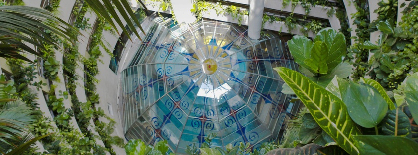 Imagen de los exteriores del Hotel Magic Balneario. Foto 5