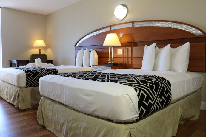 Imagen de la habitación del Hotel Magic Key. Foto 8