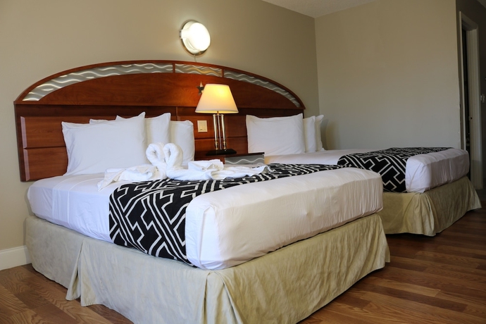 Imagen de la habitación del Hotel Magic Key. Foto 9