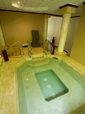 Imagen de la piscina del Hotel Magic Mountain Spa and Conference Center. Foto 11