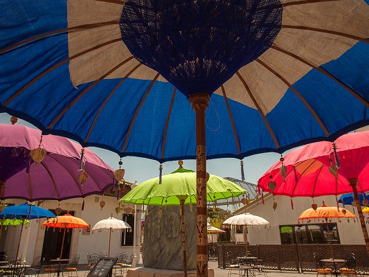 Imagen general del Hotel Magic Natura Animal, Waterpark & Polynesian Lodge Resort. Foto 3