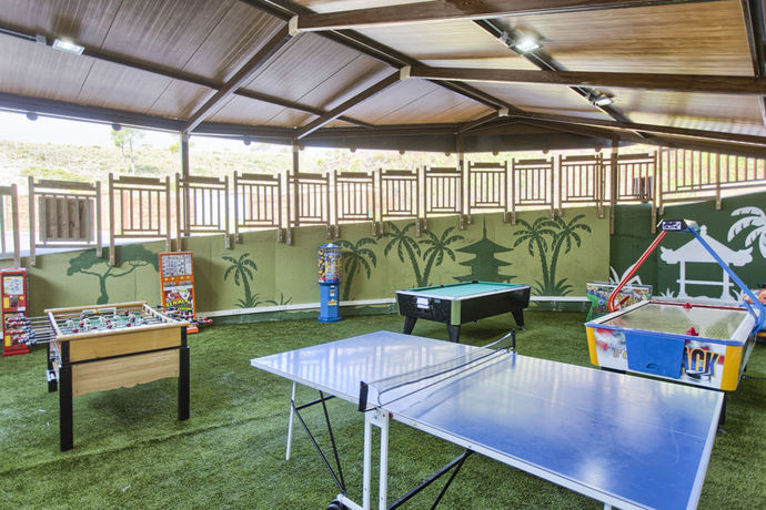 Imagen general del Hotel Magic Natura Animal, Waterpark & Polynesian Lodge Resort. Foto 14